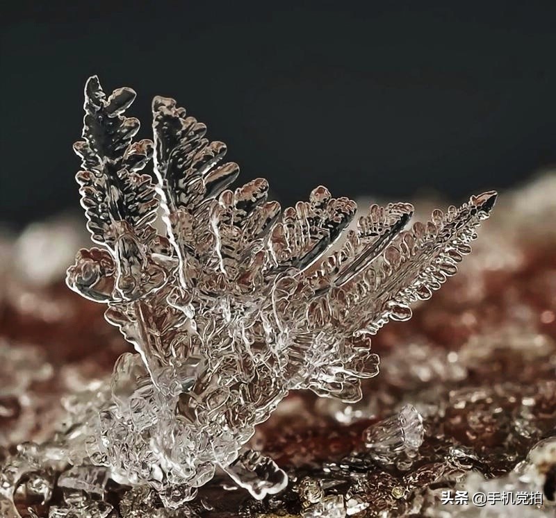 手机拍摄雪花的正确方法,手机拍雪花微距