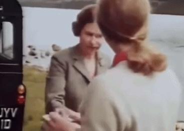 英女王下令封杀50年!王室私生活*片禁**遭泄露,百万人在线吃瓜