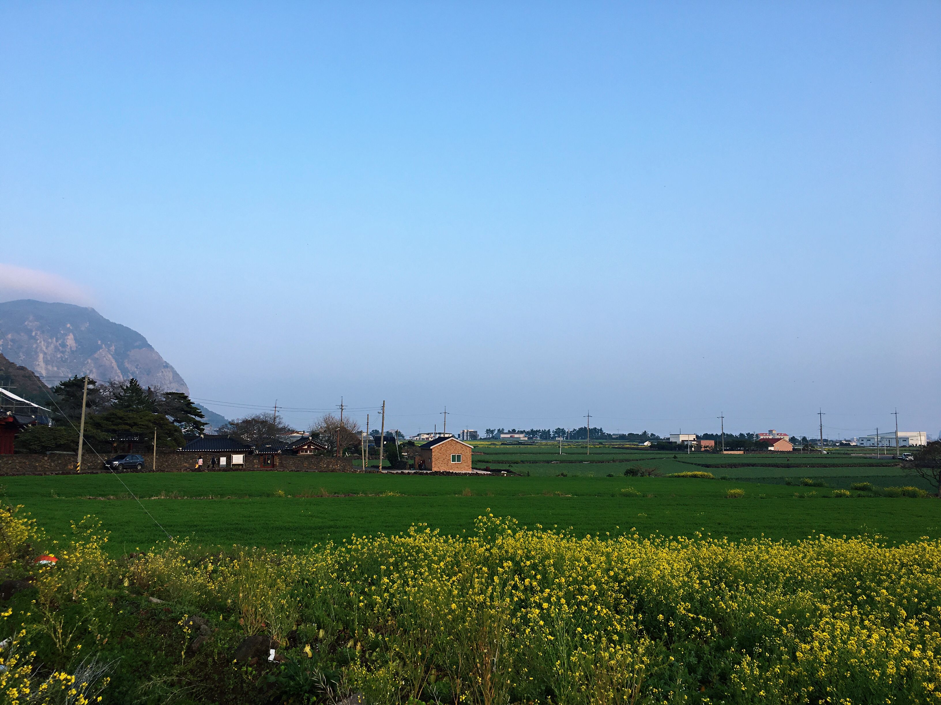 出国游玩新手小白,出国去韩国济州岛打工