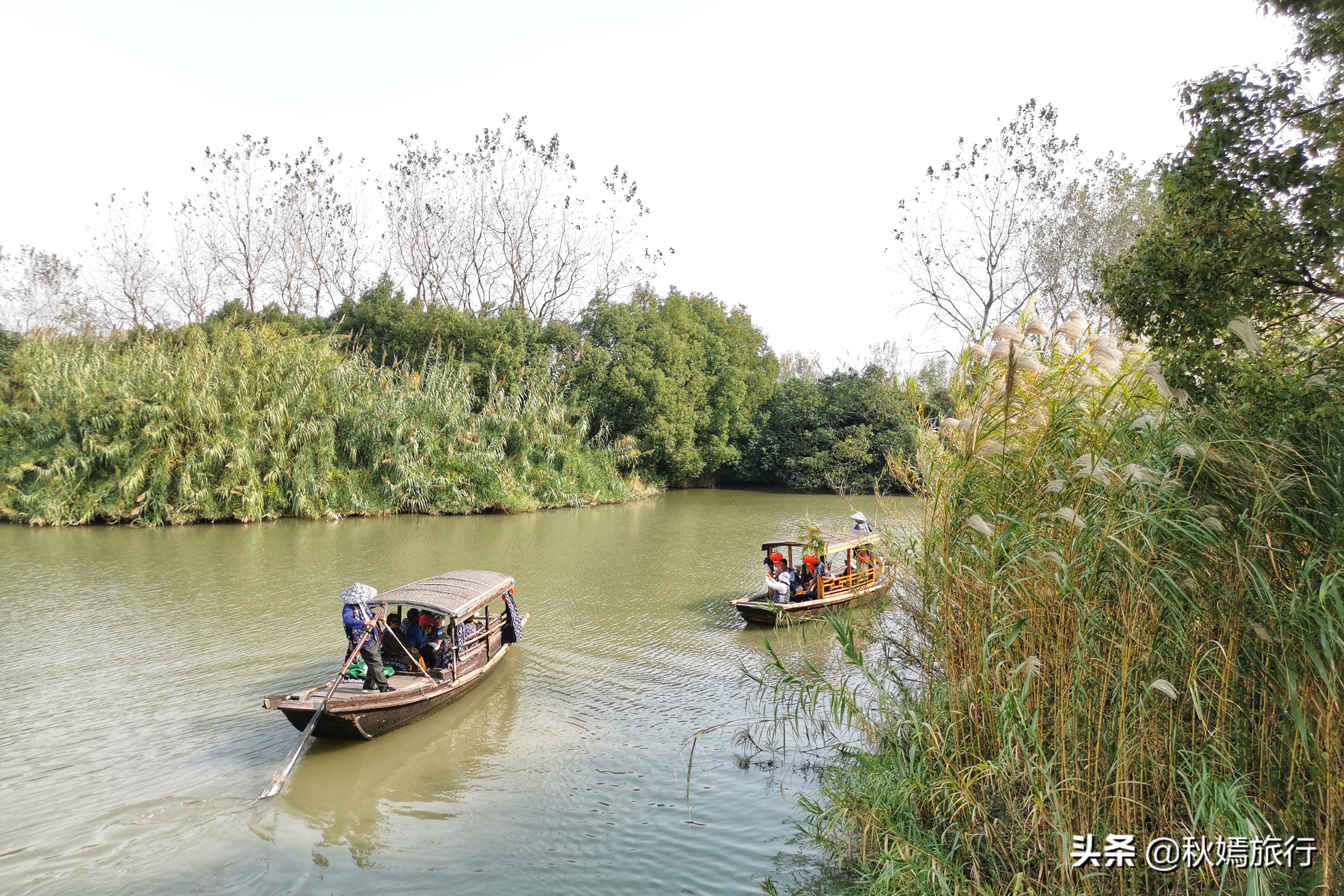 这座华东地区最大的湿地公园,拥有一千多亩芦苇荡,游客络绎不绝