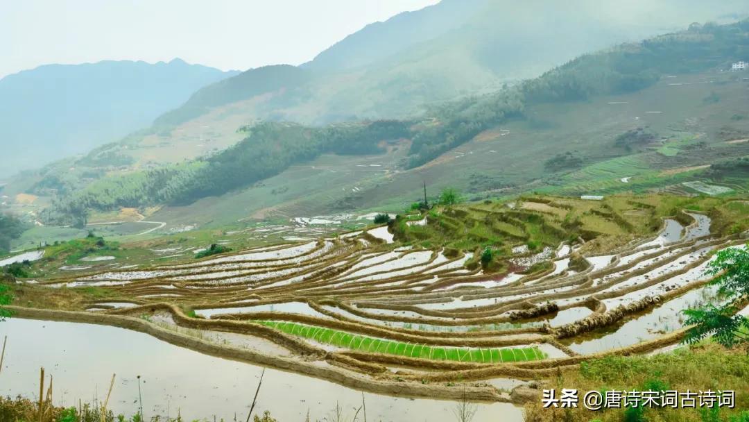 老翁七十犹强健,没膝春泥夜叱牛