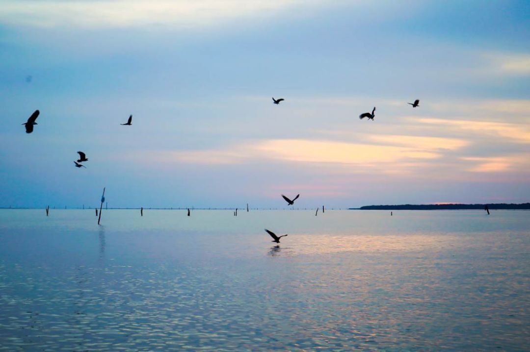 一价全包的邮轮价格,一价全包境外旅游游轮