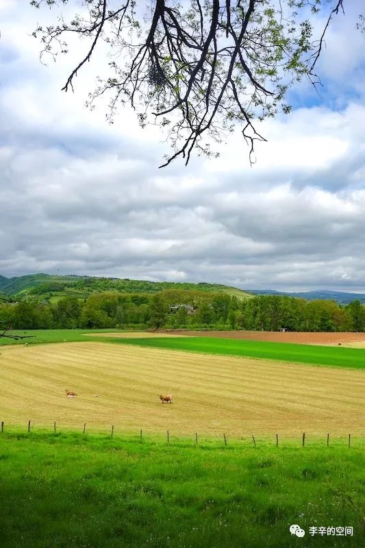 李时珍祖传秘方提高免疫力,张景明讲增强抵抗力的方子