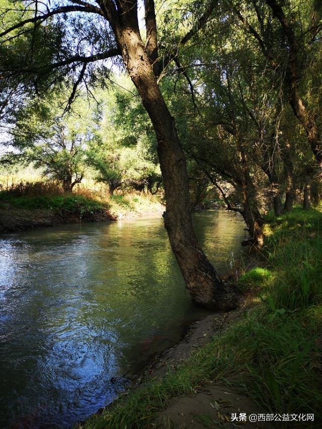 金苹果，是河西走廊一颗璀璨的明珠