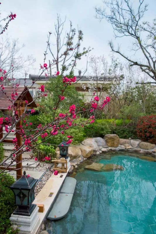 没有孵过混堂的上海冬天，是不完整的