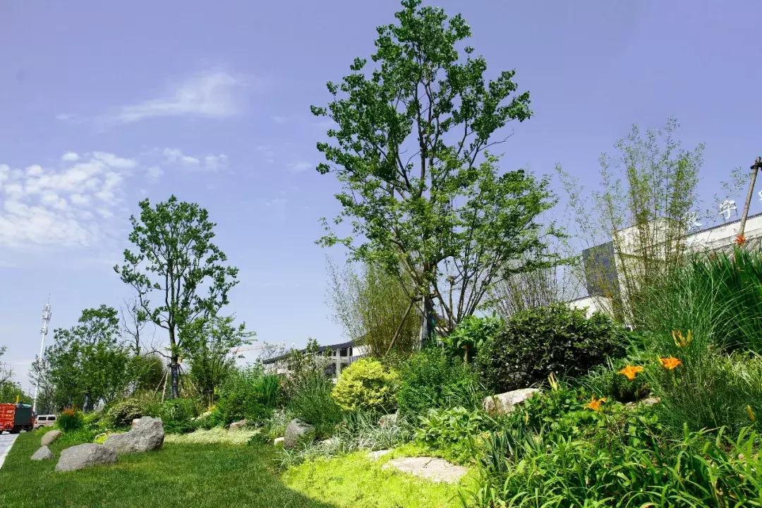 一石百景寸石丈情