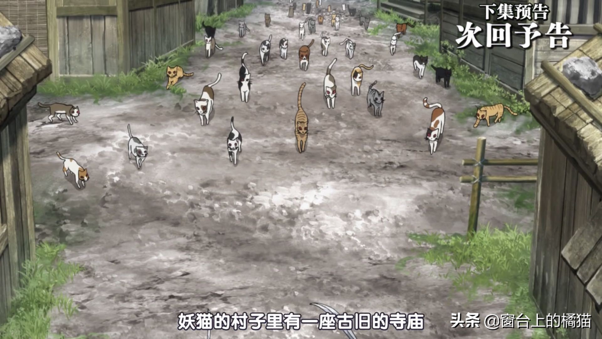 犬夜叉半妖的夜叉姬剧情介绍,犬夜叉后传大结局