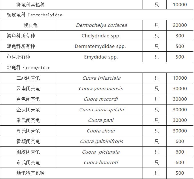一尾中华鲟价值多少？10月1日起施行的《水生野生动物及其制品价值评估办法》告诉你