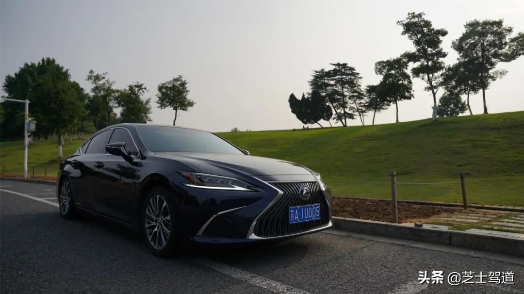 雷克萨斯追玛莎,雷克萨斯追爱