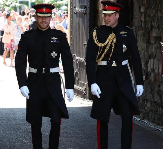 查尔斯长得像谁,查尔斯评价哈里