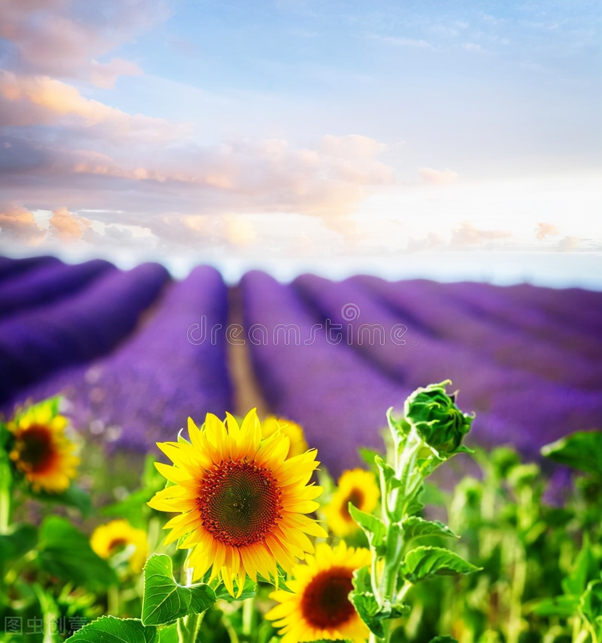 治疗子宫肌瘤,中医一个妙方,让子宫肌瘤消失