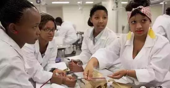 戴15块钱的手表,戴15美元手表