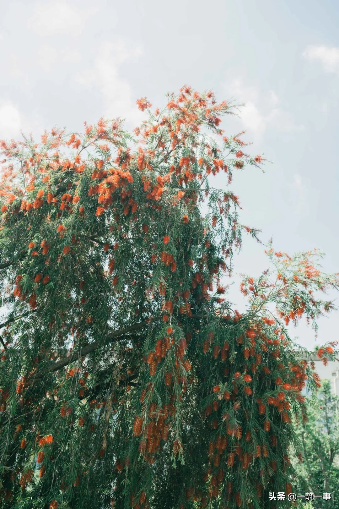 成都东二环最新消息,发觉成都