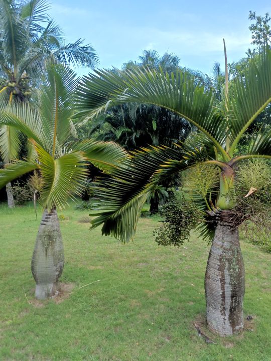 万宁海边的深海,万宁夜晚的海边