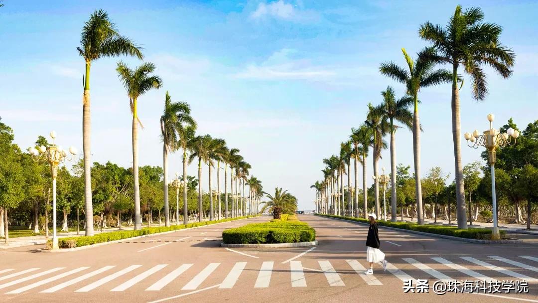 读一所校园环境和学习氛围全方位一流的大学是什么体验？