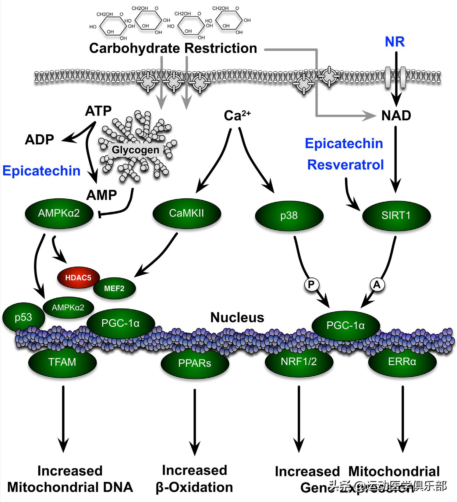 快快收藏起10种简单易学早餐食谱,赶快收藏食谱