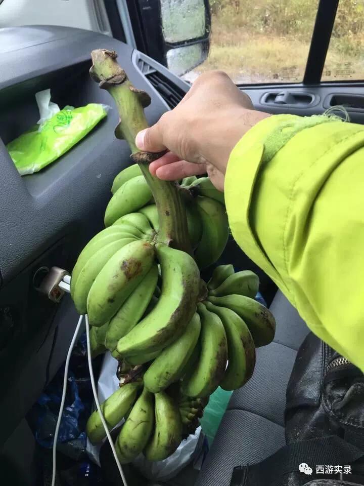 教巴西人葡语,交流巴西葡语