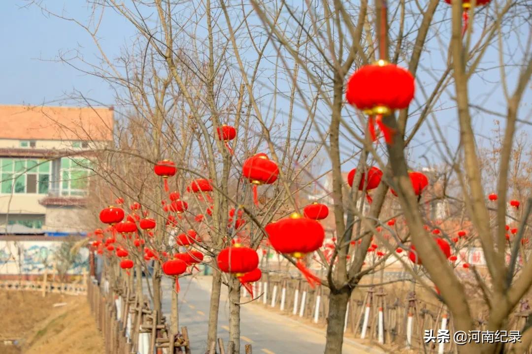 120个美丽乡村柘城入选,河南柘城县最美乡村