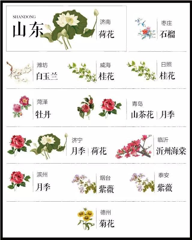 全国各个城市的市花一览表,十大城市的市花