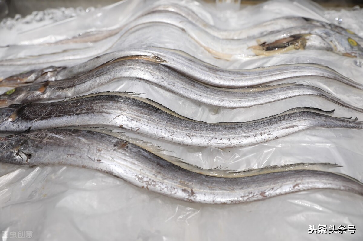 司机被迫吃生带鱼考验我们有关方面怎样把好事情办好