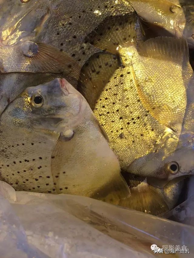 这些诱人的美食你吃过吗,世界上顶级海鲜大全你吃过几种