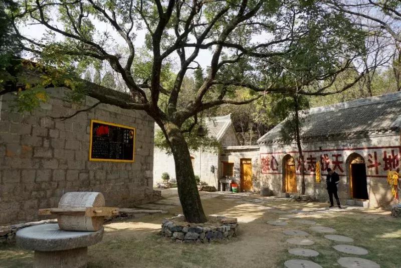 再次增值！洛阳旅游年票又增加一个新景区，看看是哪个？