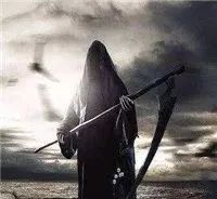 为什么王思聪可以找那么多女朋友,王思聪被问起找女友找什么样的