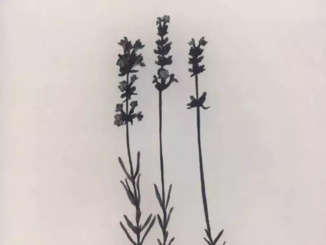 芳疗精油能帮助睡眠吗,芳疗对人体作用