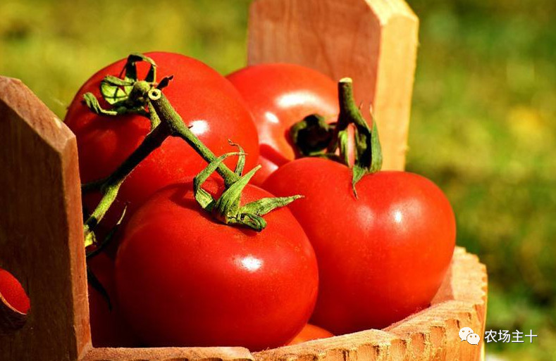 你是否曾经也向往过农村生活,向往田园生活和体验往往有差距