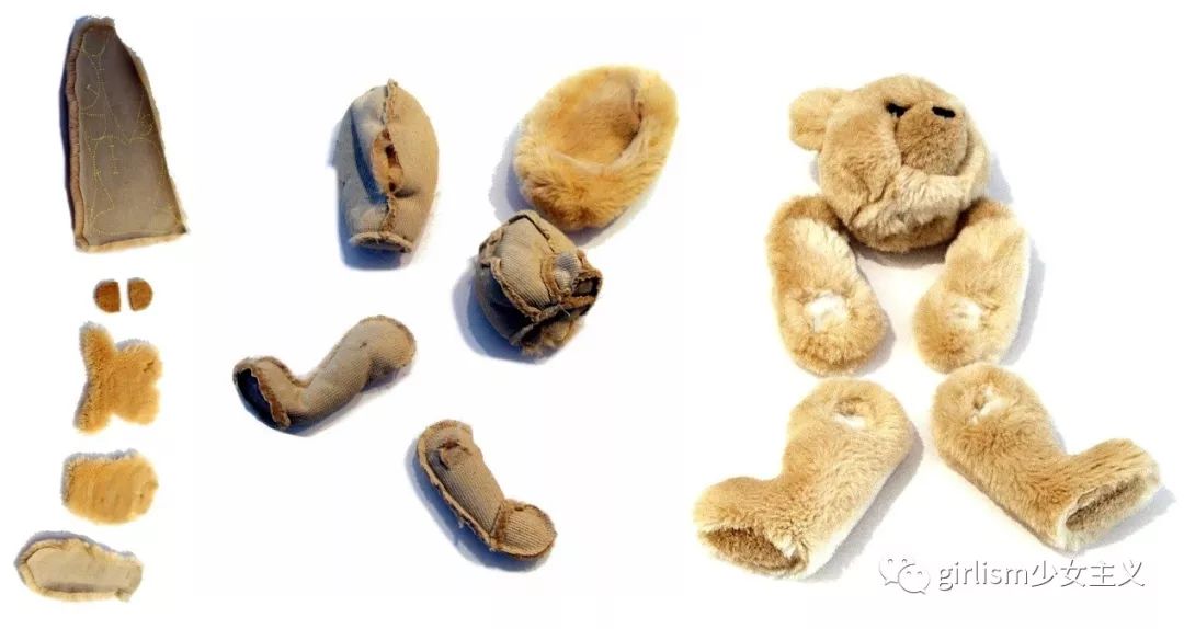 世界上最美丽的泰迪熊,最可爱的泰迪熊