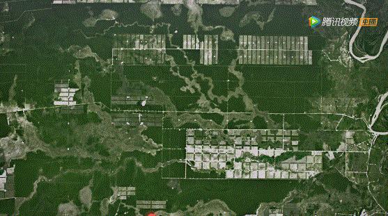 bbc封神,让很多人看一次哭一次的视频