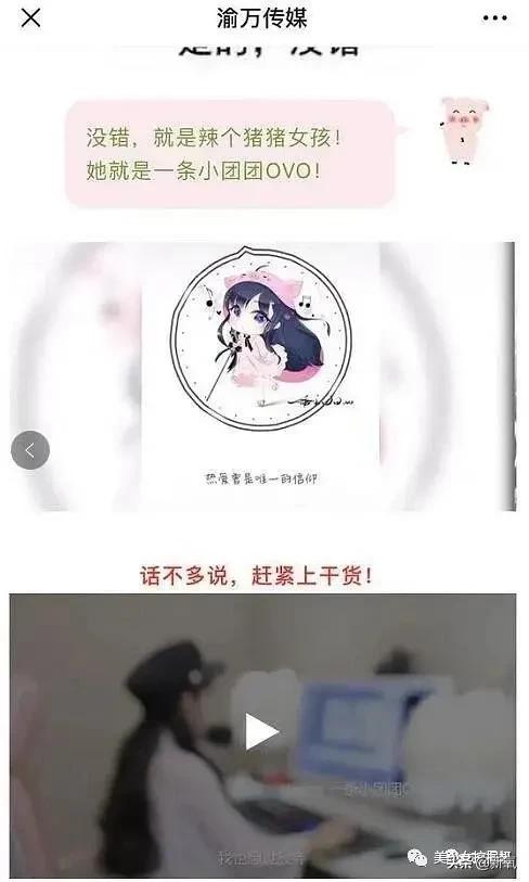比小团团还火的女主播乔碧萝,斗鱼一姐小团团视频