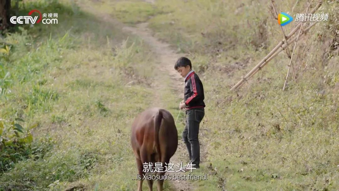 豆瓣9.2，看完这部纪录片，就像过了一生