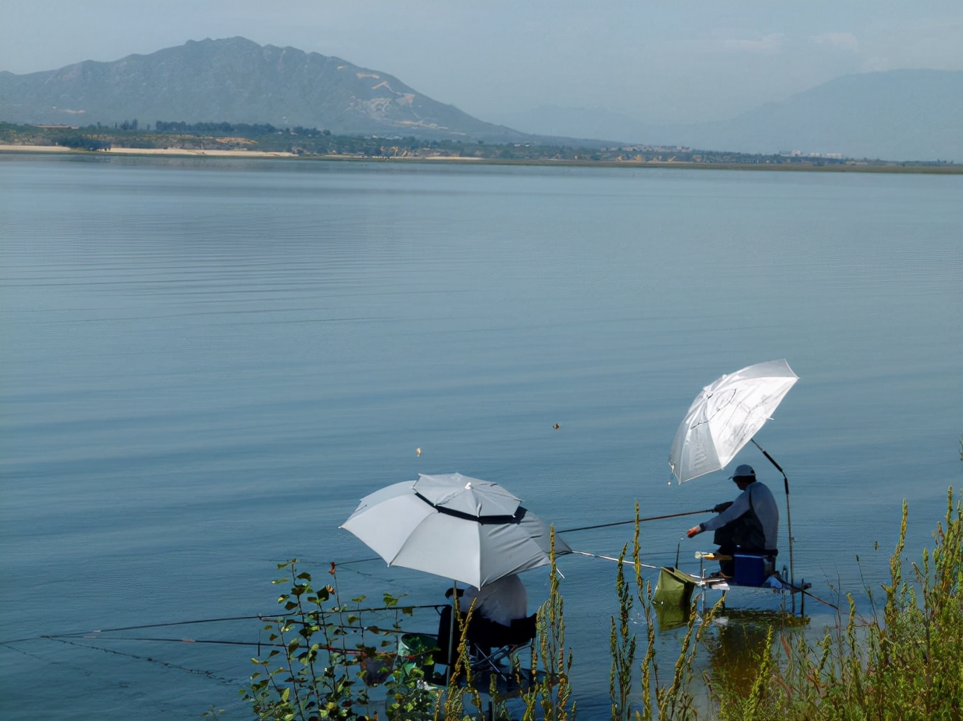 钓鱼竿怎么选择合适,钓鱼竿怎么选择一支合适的