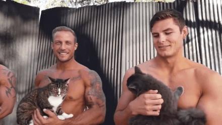 来了来了!他们带着猫猫又来了