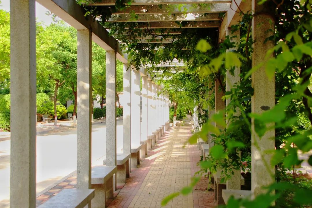 河北工业职业技术学院校园,有河北工业职业技术学院吗