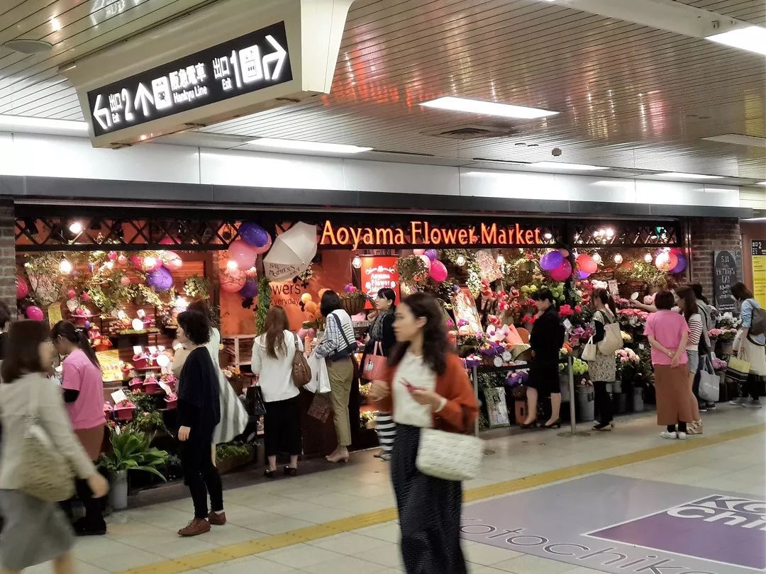 日本仙女花店游学攻略,日本花店之旅