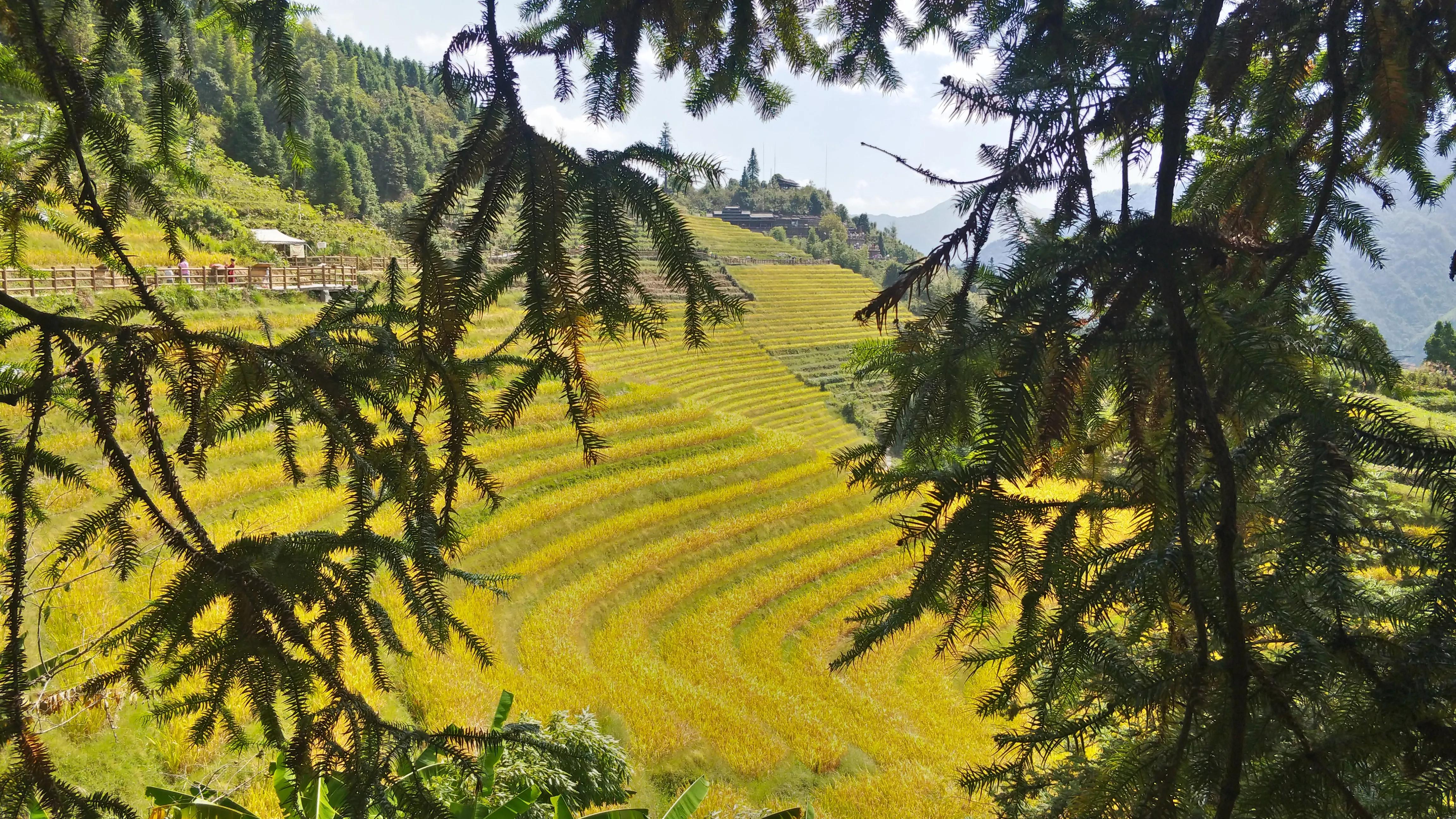 乔布斯的苹果有多厉害,乔布斯时代的苹果有多厉害