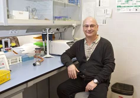 crispr基因编辑技术的未来之路,crispr基因技术利与弊