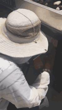 和田玉直播最新事件,和田玉直播中常见问题