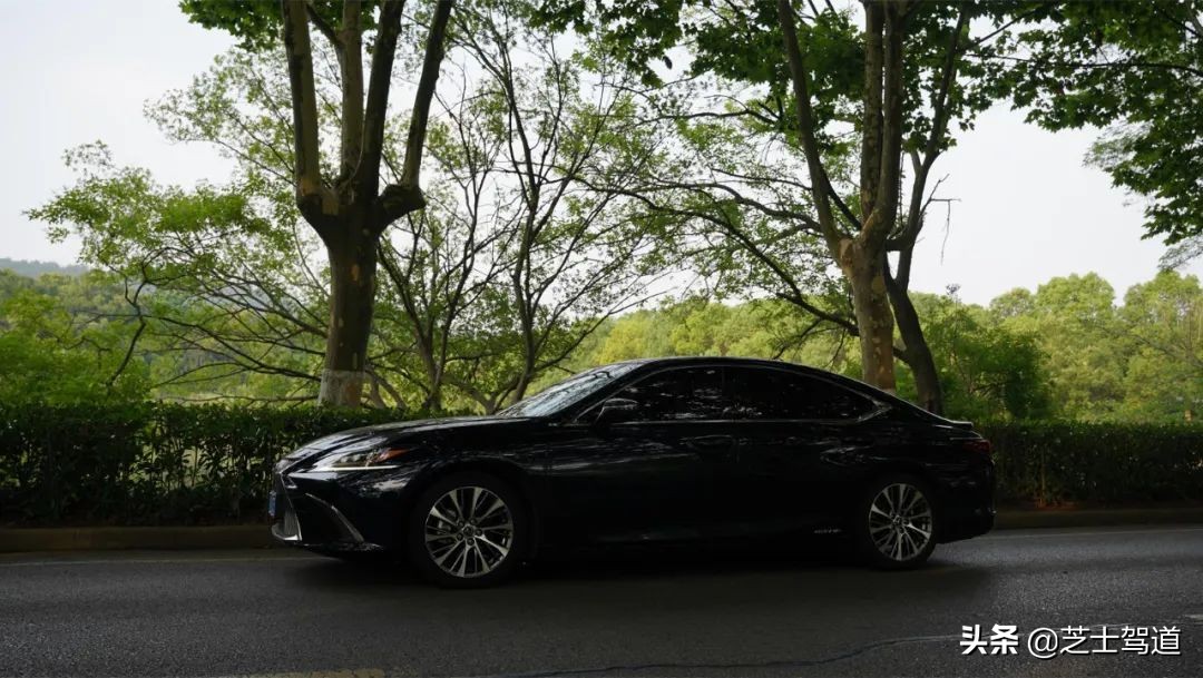 雷克萨斯追玛莎,雷克萨斯追爱