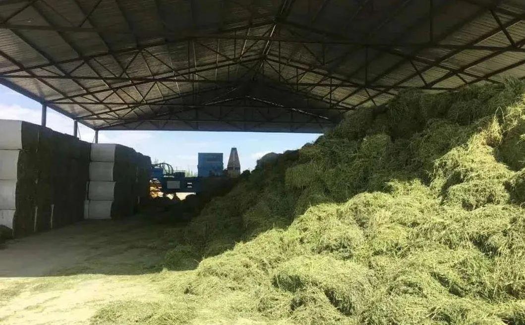 迈好第一步看见新气象,迈好第一步开门红