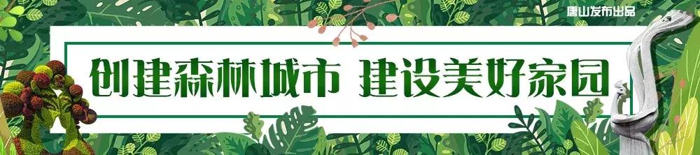 唐山高考志愿填报一对一,唐山高考志愿填报如何报