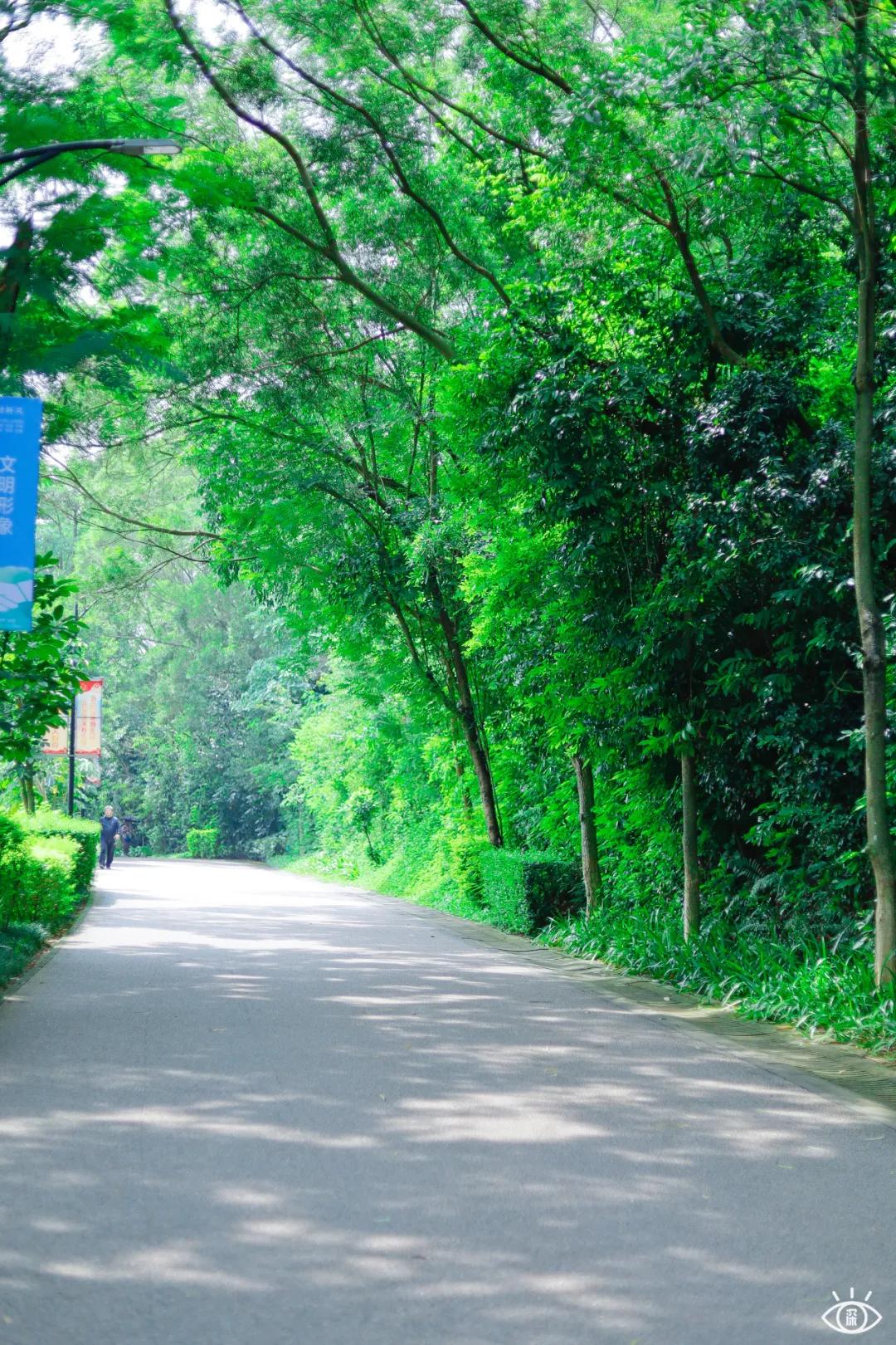 深圳宝藏公园风景图片,深圳宝藏自然游乐区