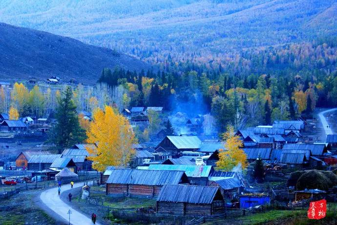 中国鸡尾,中国鸡尾巴