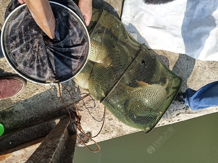 冬季海拉尔一日游攻略最新,海拉尔钓路亚的视频