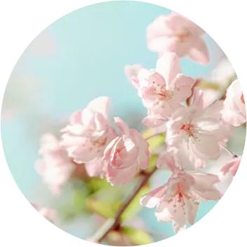 馆陶新学校,开学啦迎新春