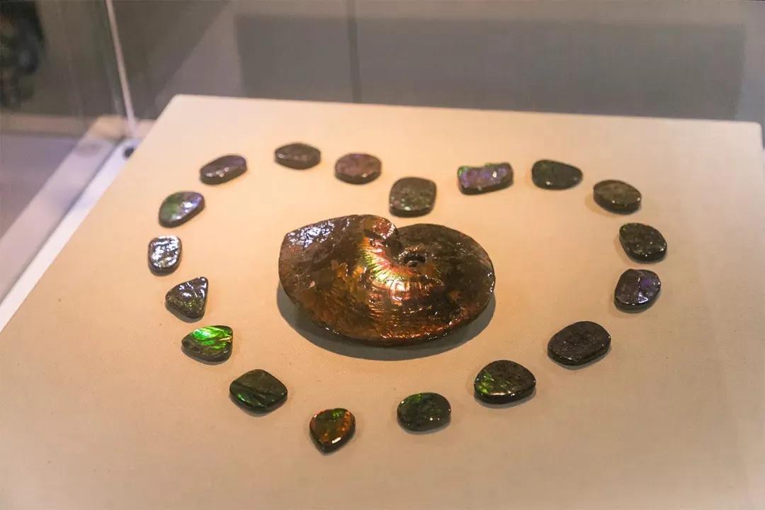 深圳免费十大打卡景点攻略,深圳凤凰城地铁站网红打卡