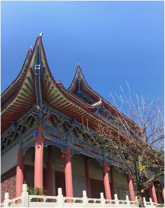 翁源东华地窖酒,韶关翁源赏荞麦花