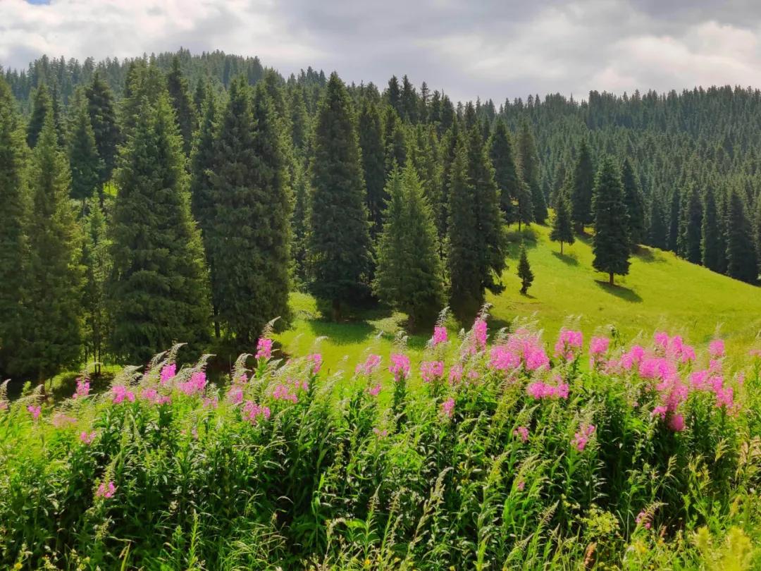 春节吉木萨尔周边游,6月份吉木萨尔周边一日自驾游